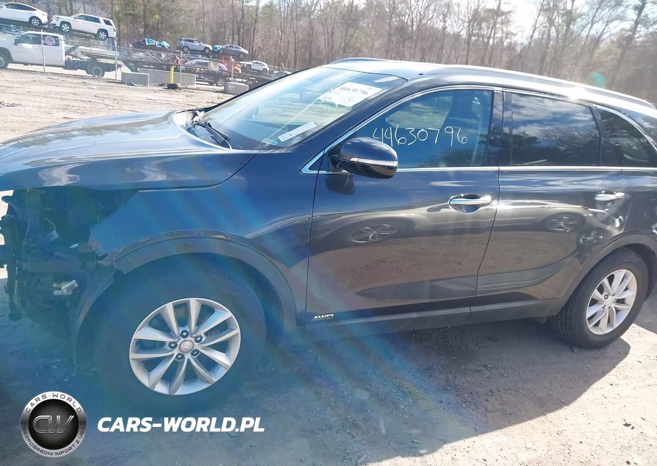 2018 Kia Sorento 2.4L Lx VIN:5XYPGDA32JG348078 - 14