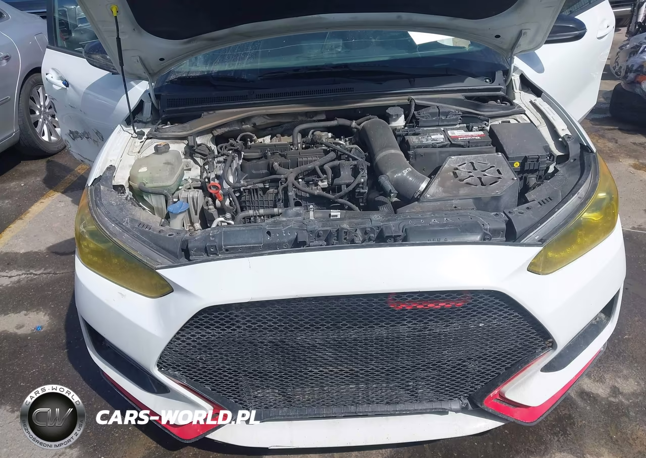 2020 Hyundai Veloster N VIN:KMHT36AH7LU004132 - 10