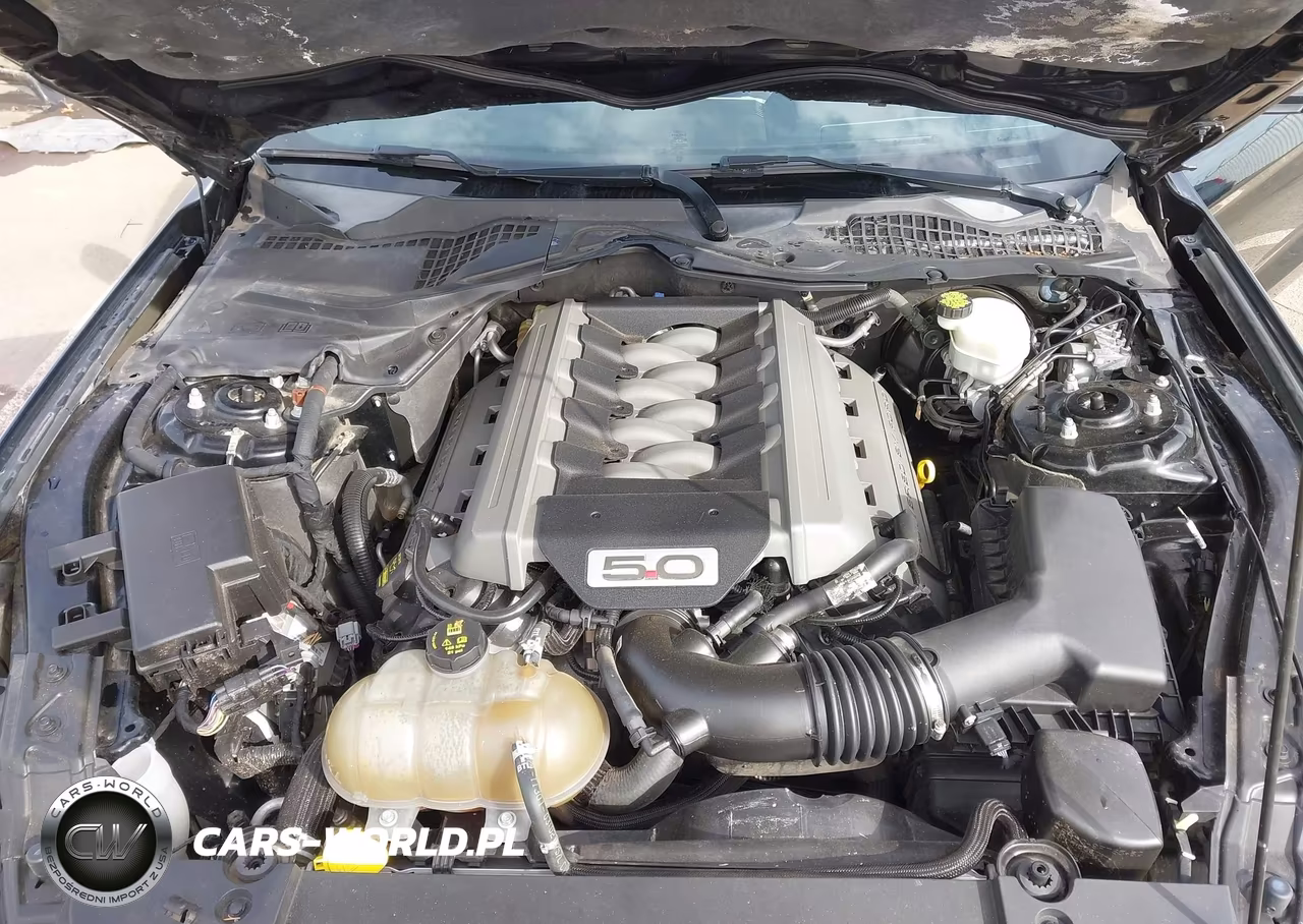 2015 Ford Mustang Gt Premium VIN:1FA6P8CFXF5342707 - 10