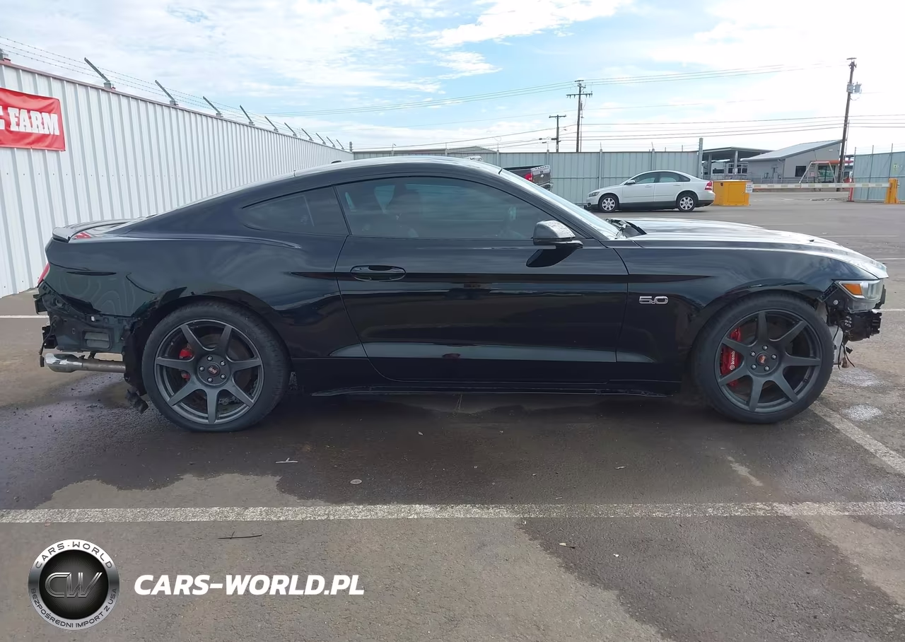2015 Ford Mustang Gt Premium VIN:1FA6P8CFXF5342707 - 14