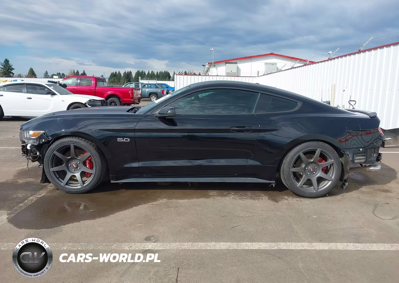 2015 Ford Mustang Gt Premium VIN:1FA6P8CFXF5342707 - 15