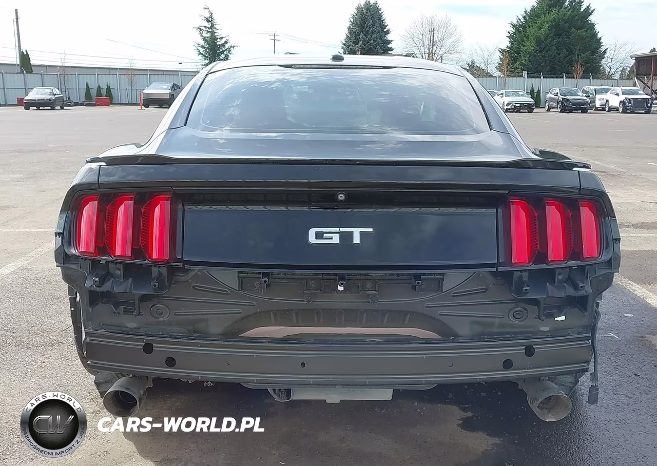 2015 Ford Mustang Gt Premium VIN:1FA6P8CFXF5342707 - 17