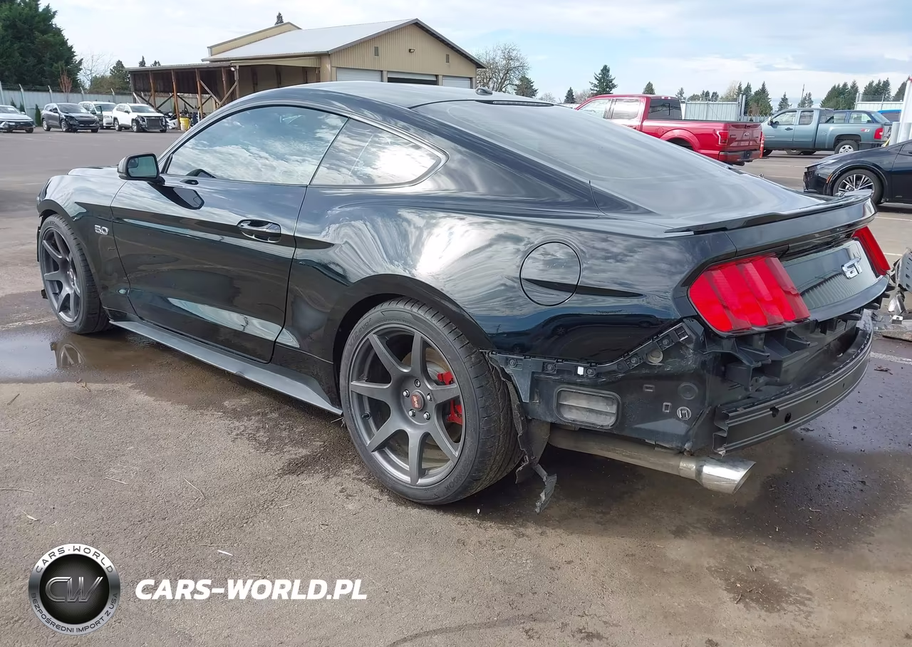 2015 Ford Mustang Gt Premium VIN:1FA6P8CFXF5342707 - 3