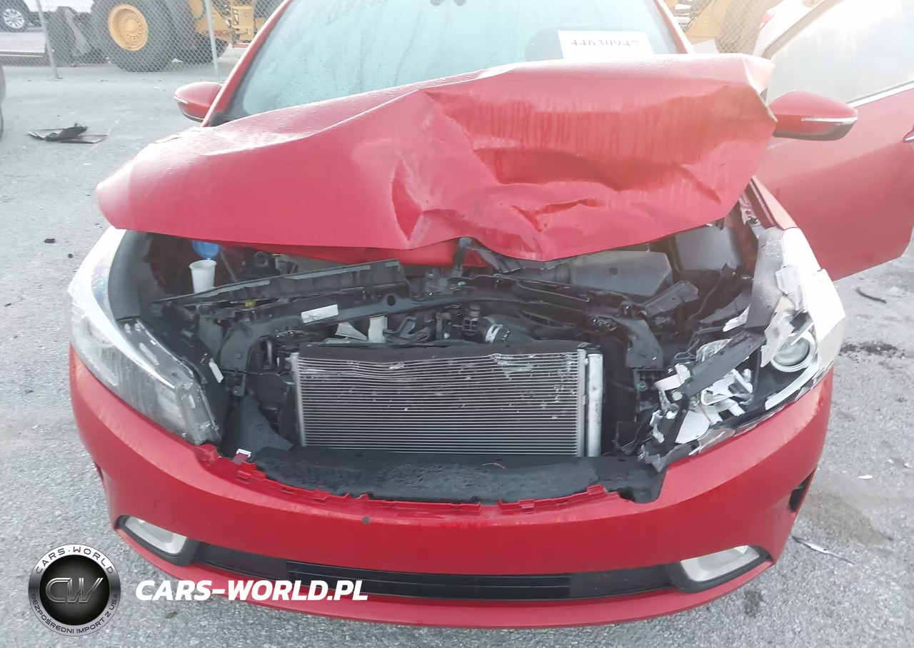 2017 Kia Forte S VIN:3KPFL4A7XHE035944 - 10