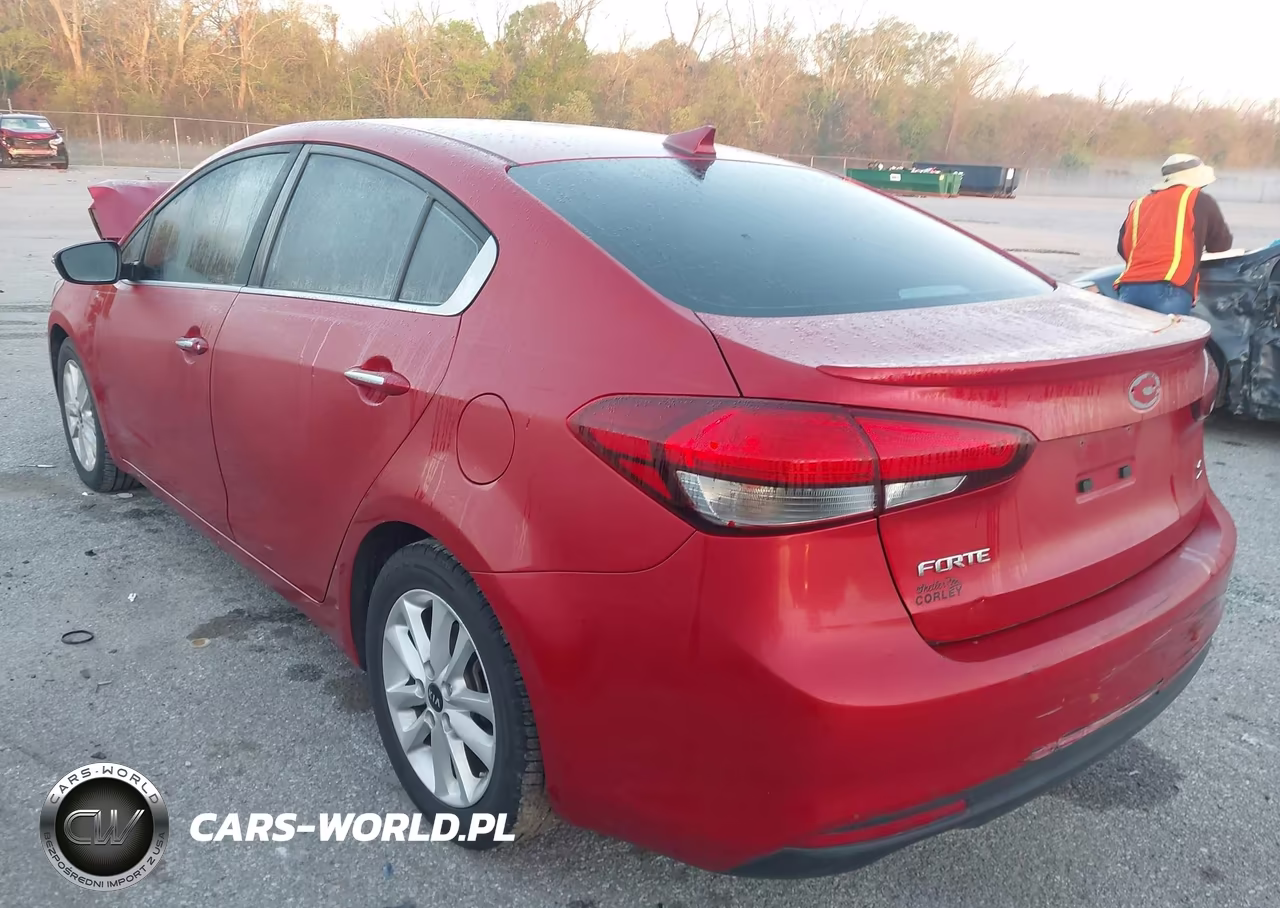 2017 Kia Forte S VIN:3KPFL4A7XHE035944 - 3