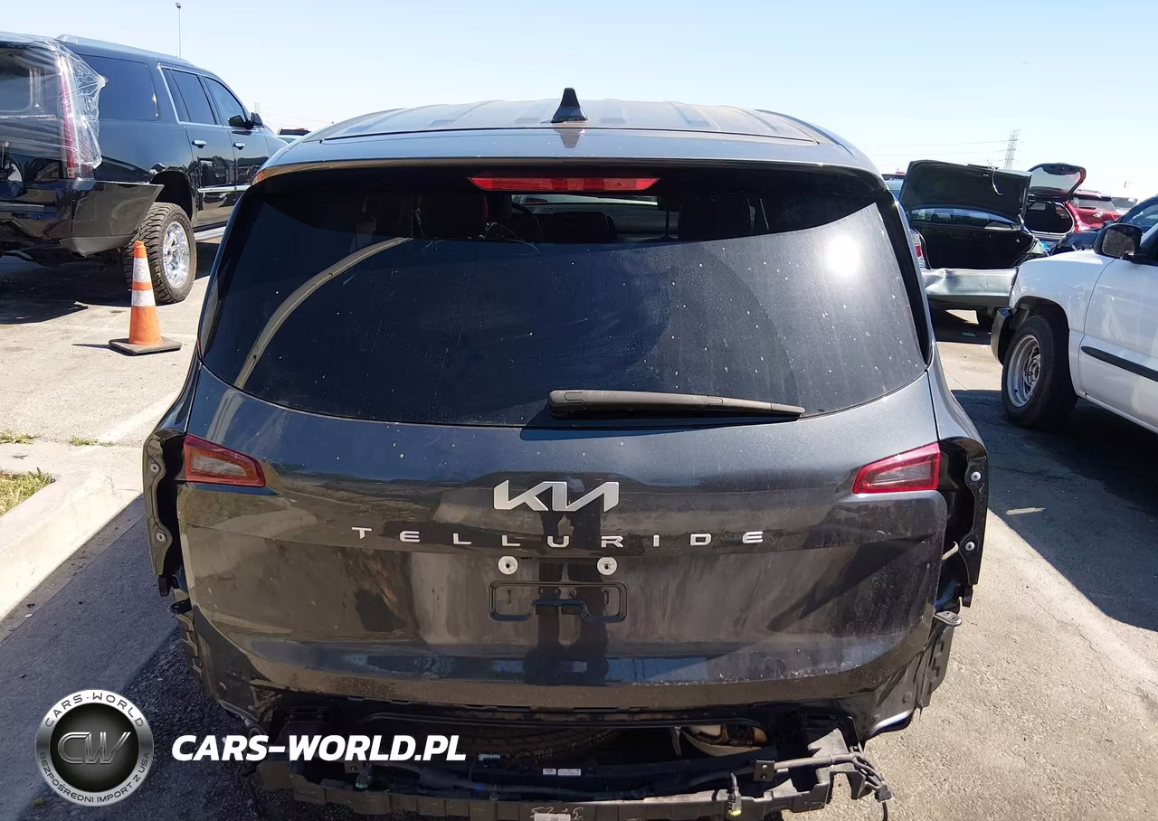 2024 Kia Telluride Lx VIN:5XYP24GC1RG512230 - 17