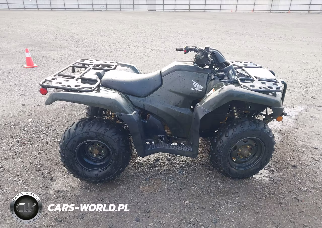 2025 Honda Trx420 Tm VIN:1HFTE3908SJ100157 - 12