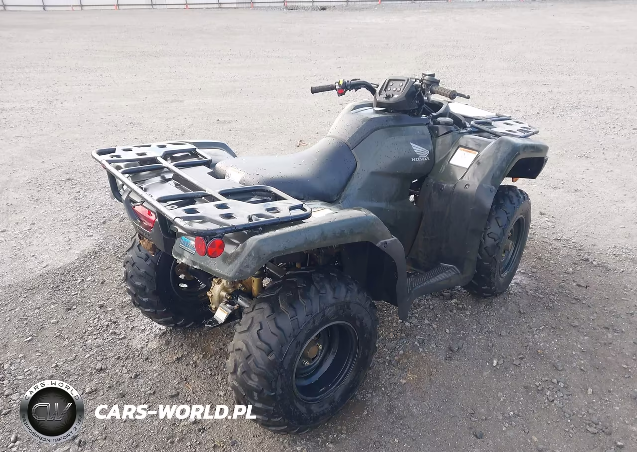 2025 Honda Trx420 Tm VIN:1HFTE3908SJ100157 - 4