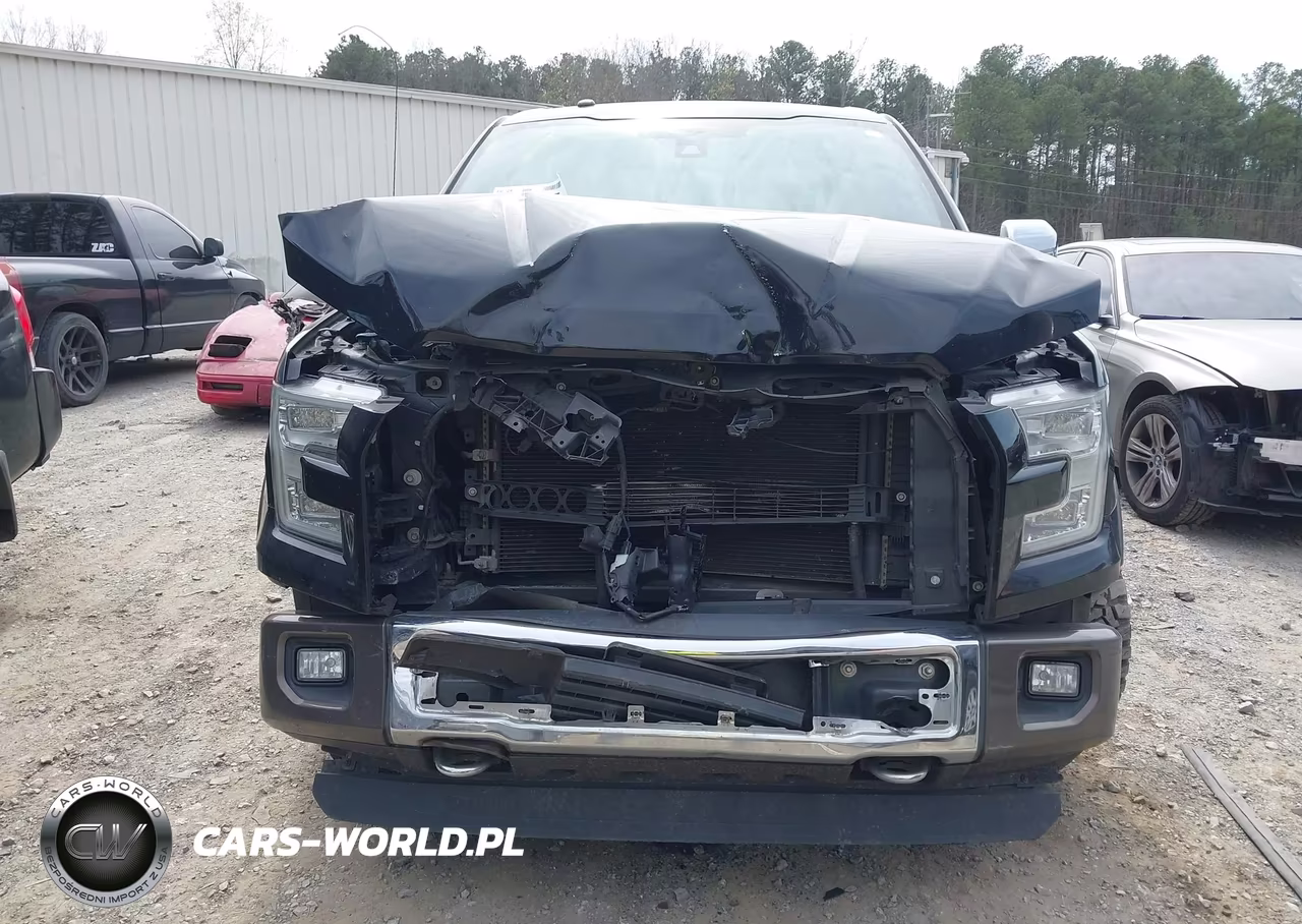 2016 Ford F-150 King Ranch VIN:1FTEW1EF0GFB62841 - 6