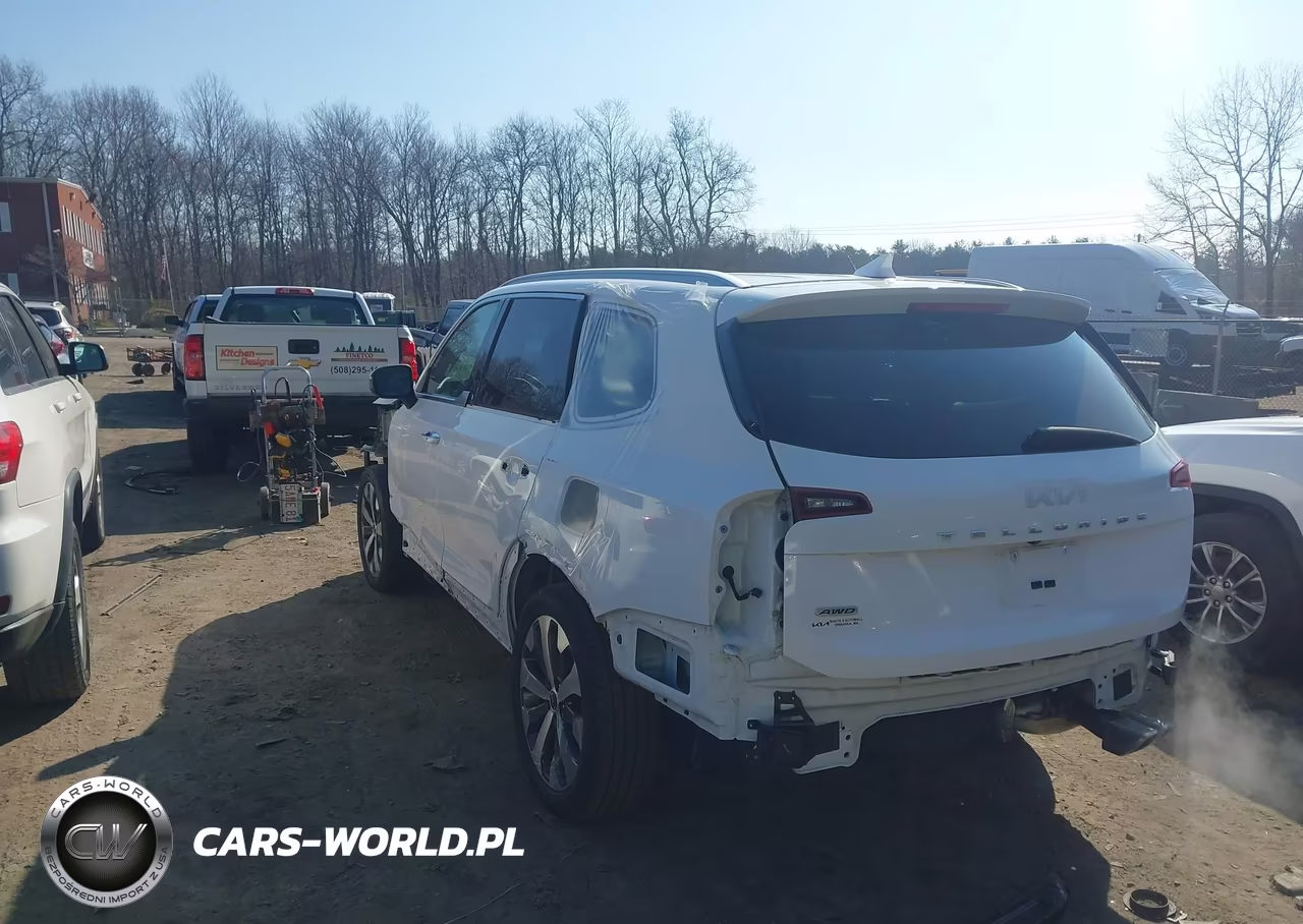 2022 Kia Telluride S VIN:5XYP6DHC8NG248551 - 3