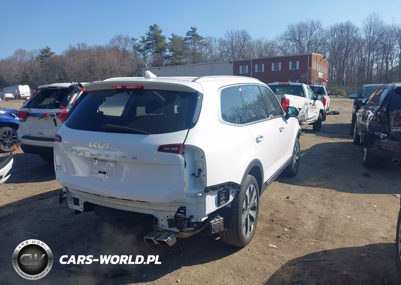 2022 Kia Telluride S VIN:5XYP6DHC8NG248551 - 4