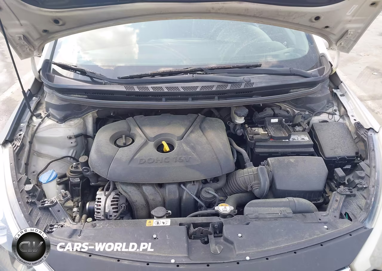 2014 Kia Forte Lx VIN:KNAFK4A6XE5176530 - 10