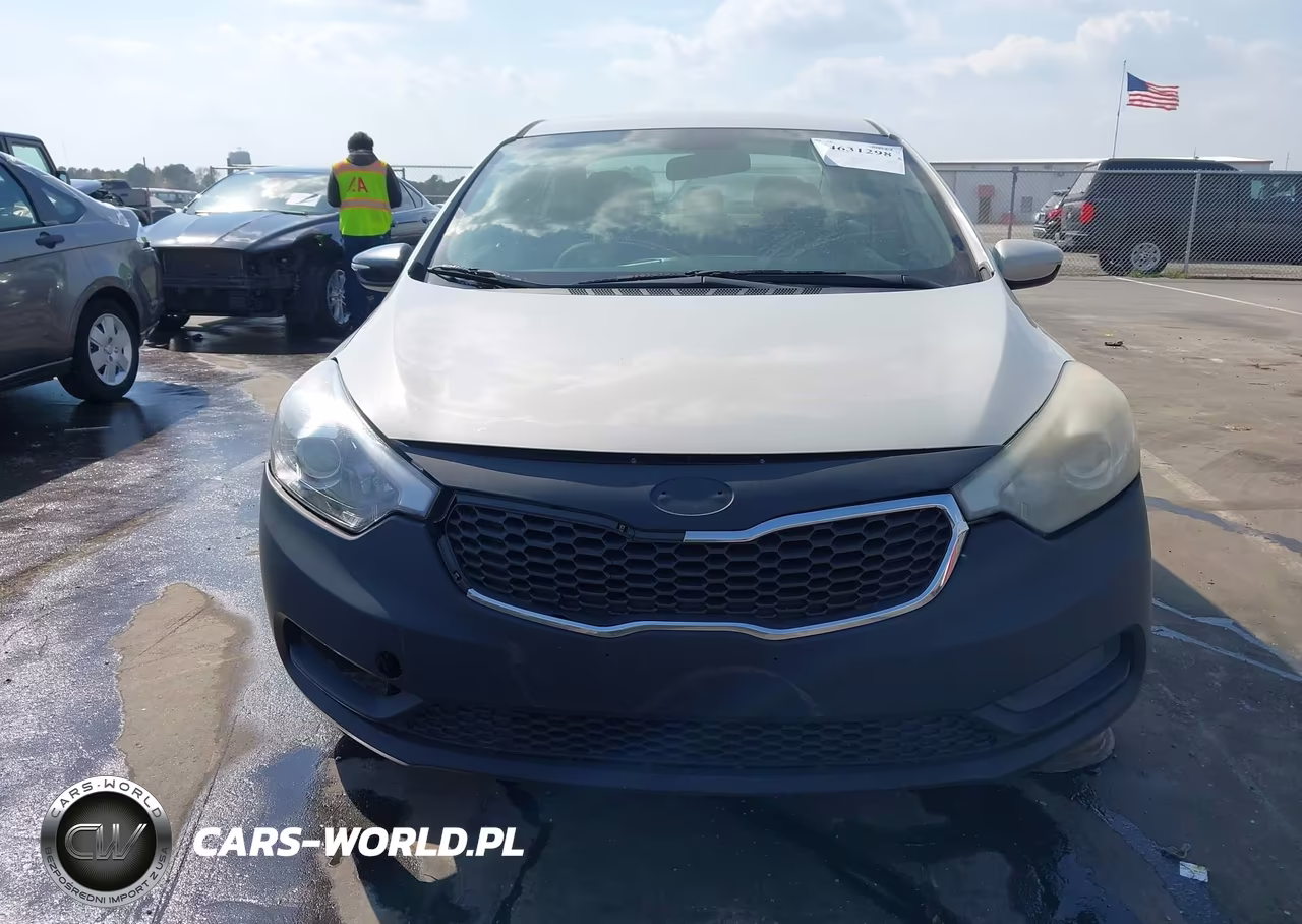 2014 Kia Forte Lx VIN:KNAFK4A6XE5176530 - 12