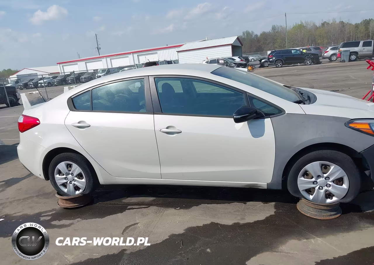 2014 Kia Forte Lx VIN:KNAFK4A6XE5176530 - 13