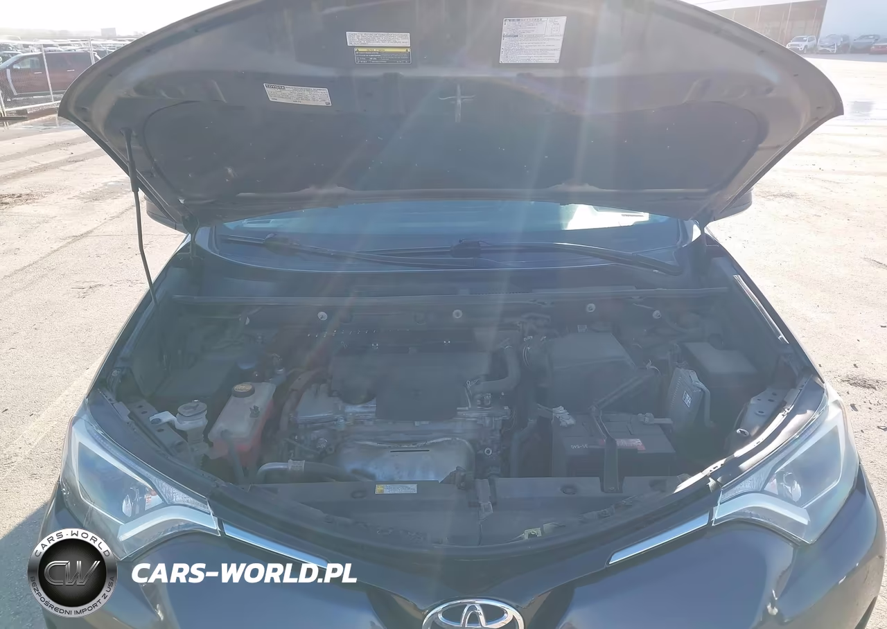 2016 Toyota Rav4 Le VIN:2T3BFREVXGW422654 - 10