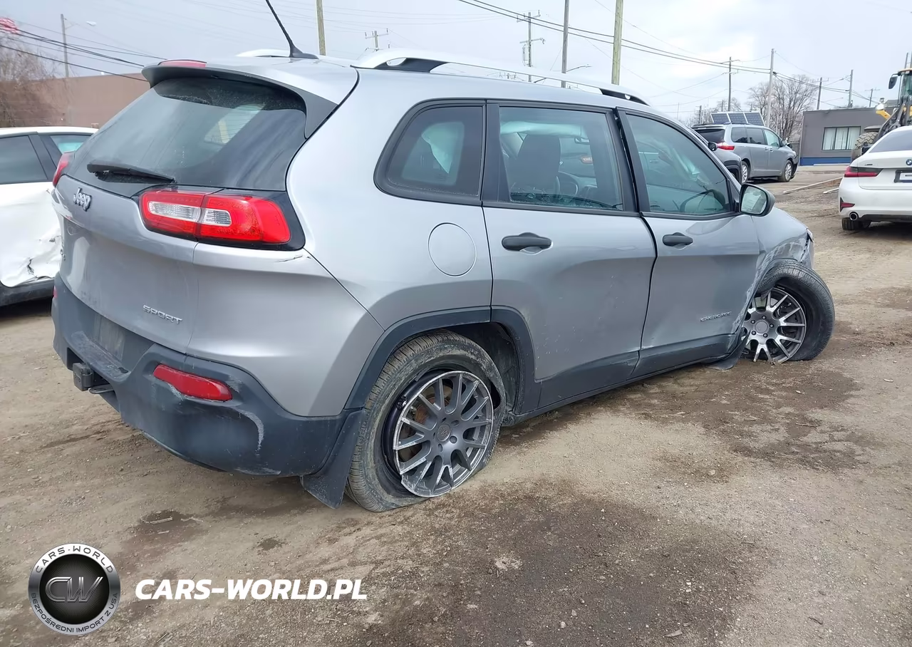 2014 Jeep Cherokee Sport VIN:1C4PJMAB6EW259728 - 4