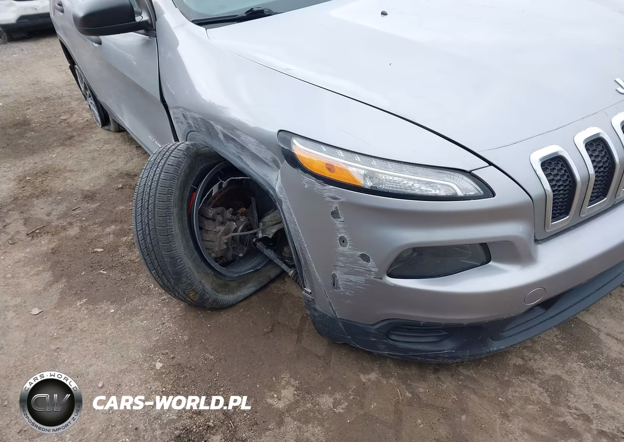 2014 Jeep Cherokee Sport VIN:1C4PJMAB6EW259728 - 6