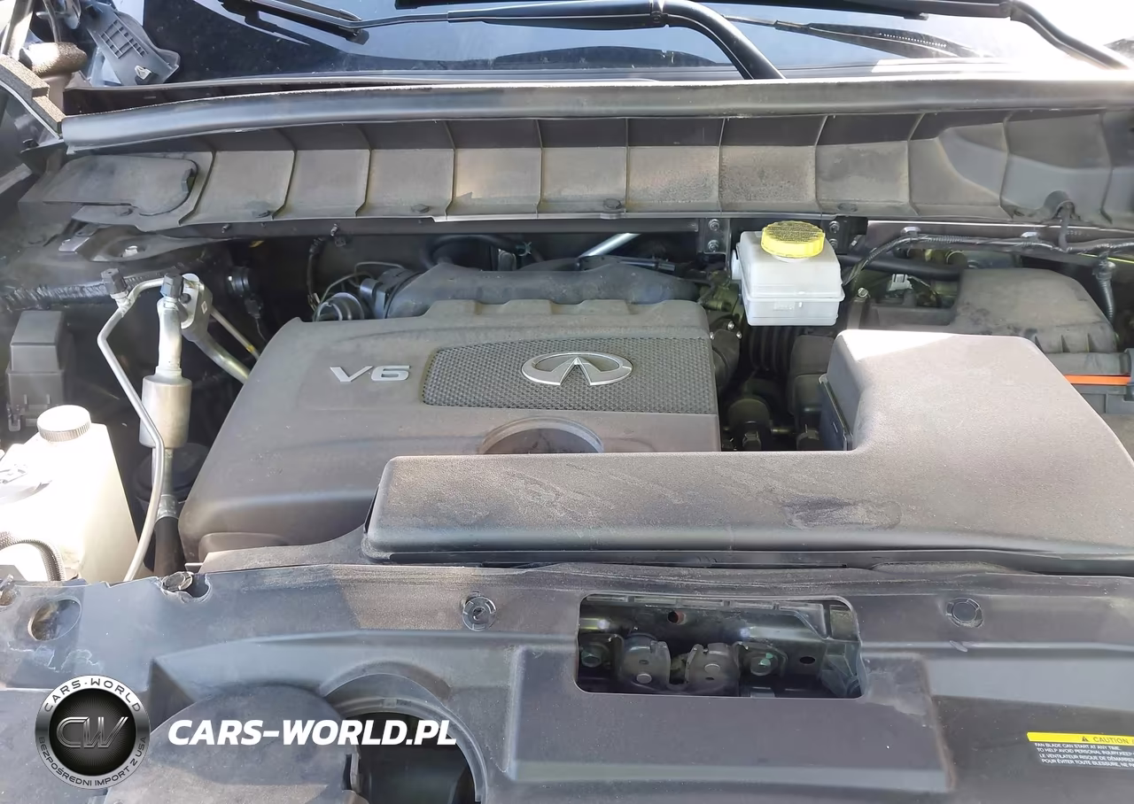 2023 Infiniti Qx60 Pure VIN:5N1DL1ER4PC367350 - 10