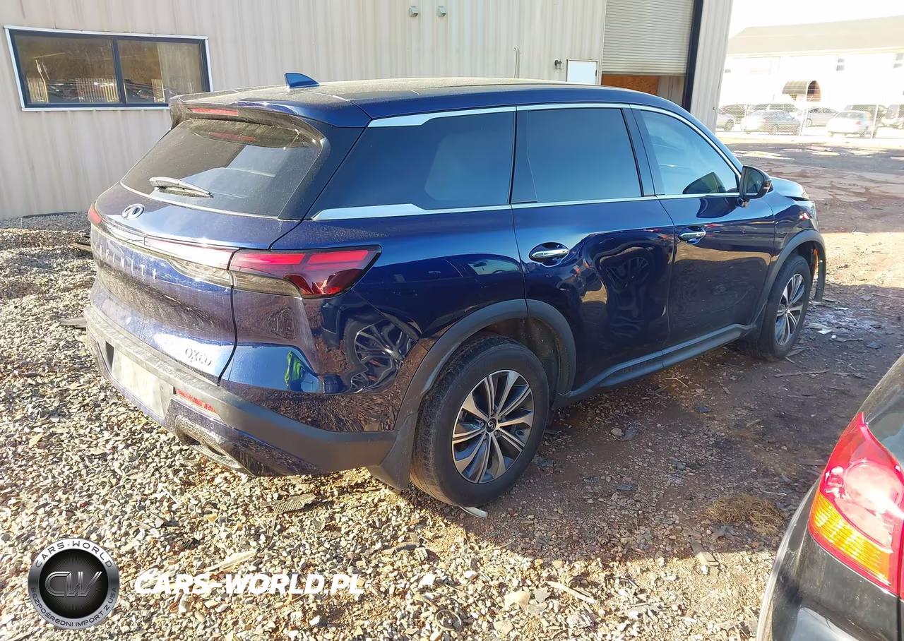 2023 Infiniti Qx60 Pure VIN:5N1DL1ER4PC367350 - 4