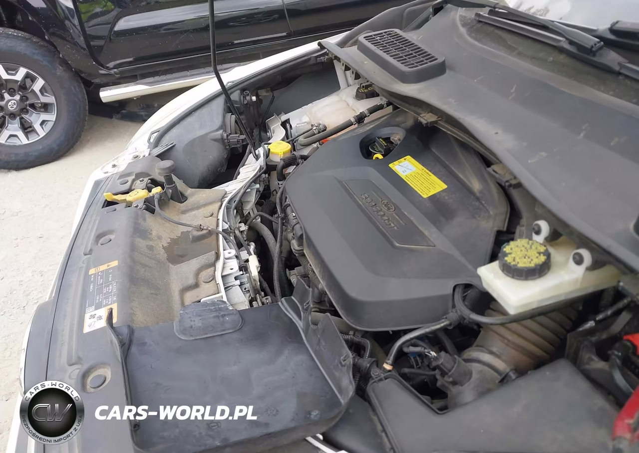 2014 Ford Escape Se VIN:1FMCU0GX5EUA61005 - 10