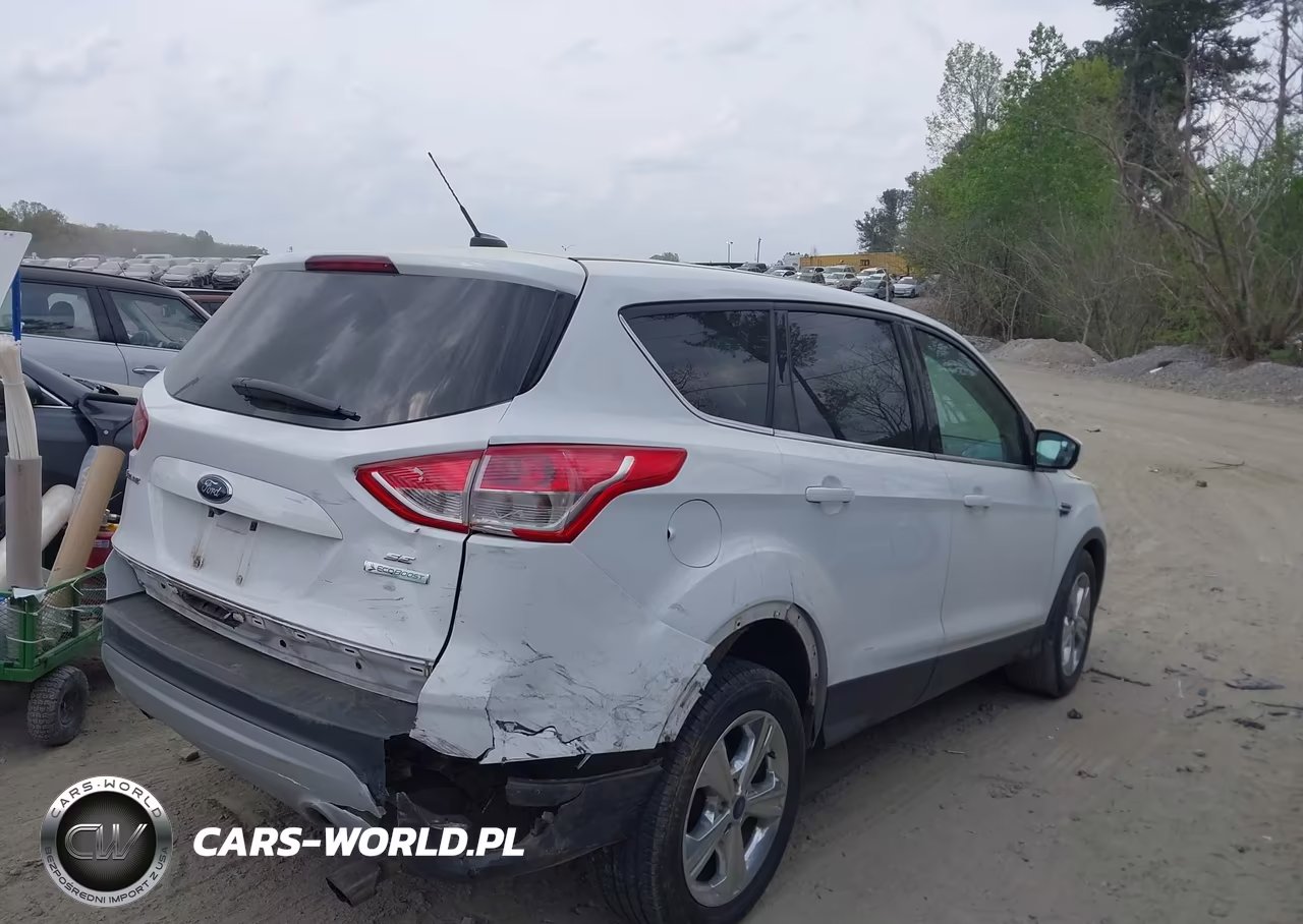 2014 Ford Escape Se VIN:1FMCU0GX5EUA61005 - 4