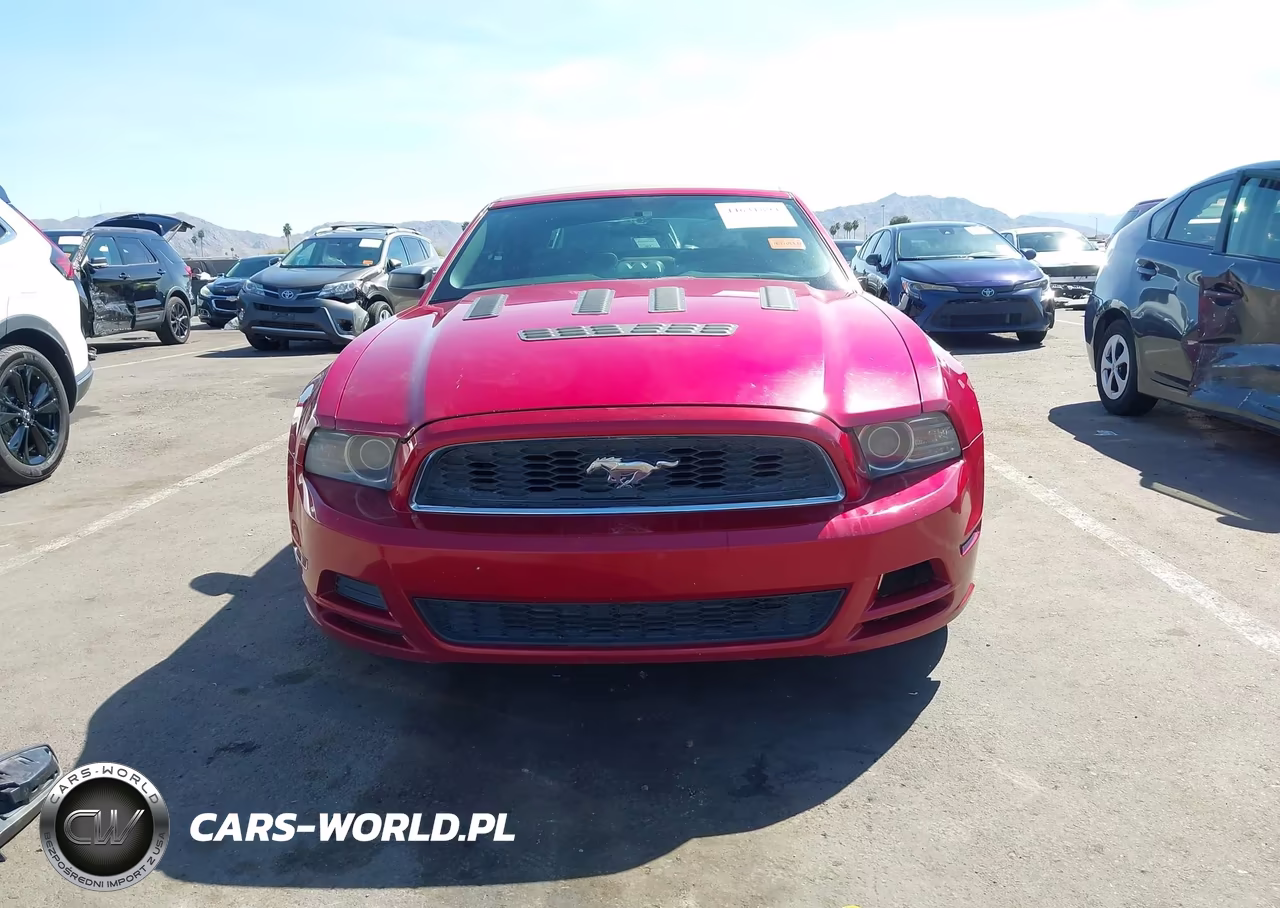 2013 Ford Mustang V6 VIN:1ZVBP8EM2D5241546 - 13