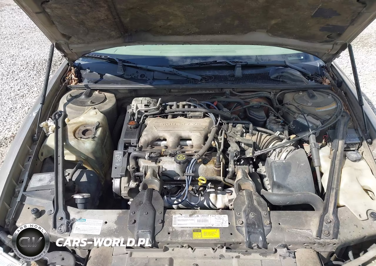 1998 Chevrolet Lumina Ls VIN:2G1WL52M1W9268416 - 10