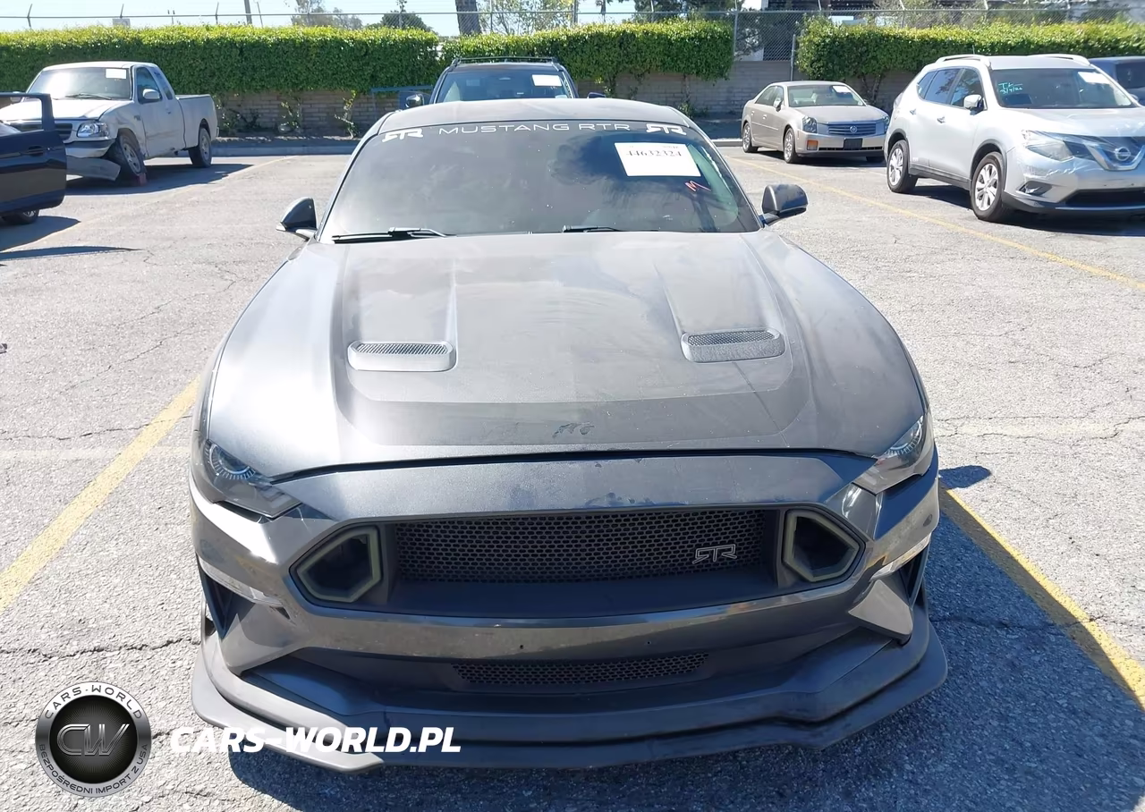 2019 Ford Mustang Gt Premium VIN:1FA6P8CF7K5134939 - 12