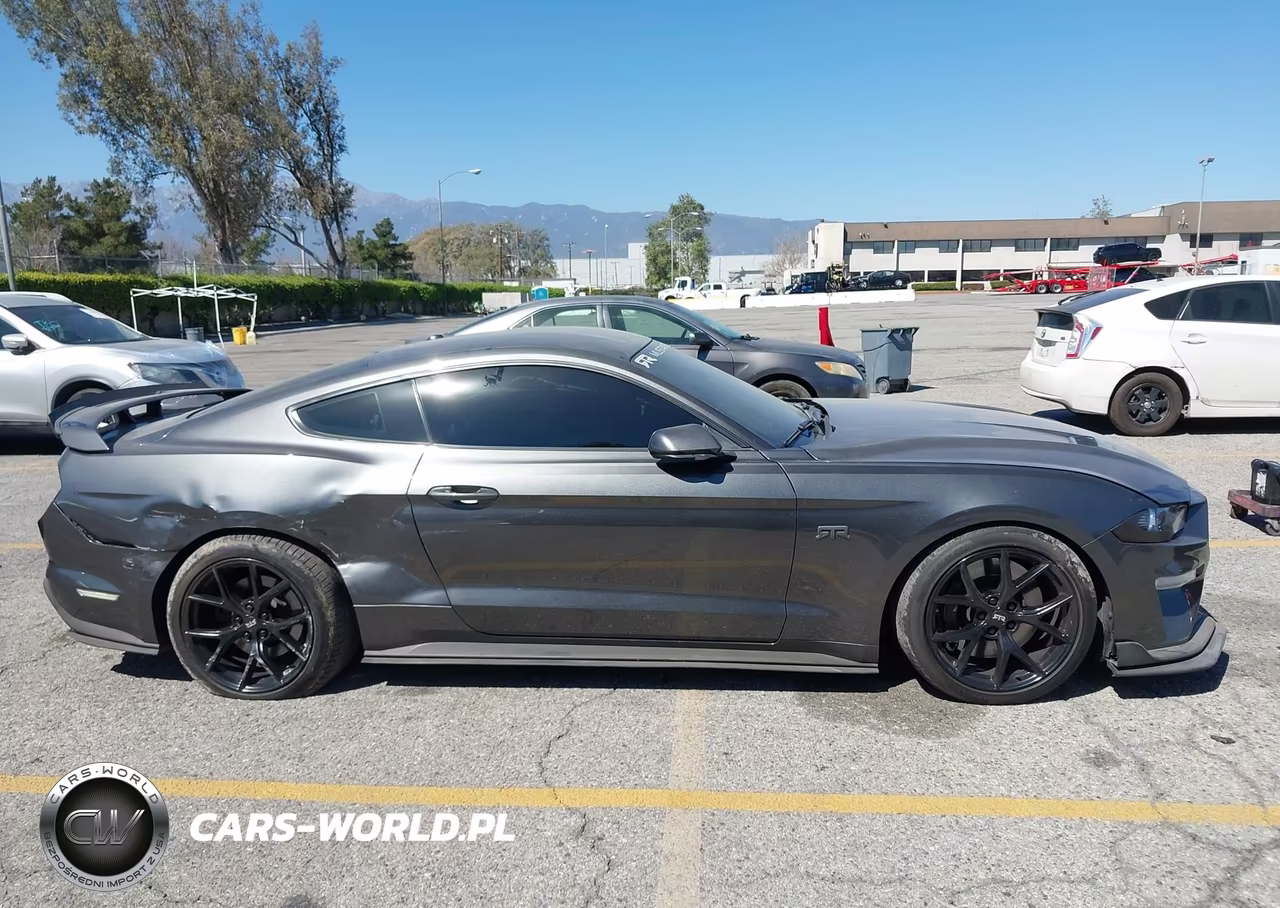 2019 Ford Mustang Gt Premium VIN:1FA6P8CF7K5134939 - 13