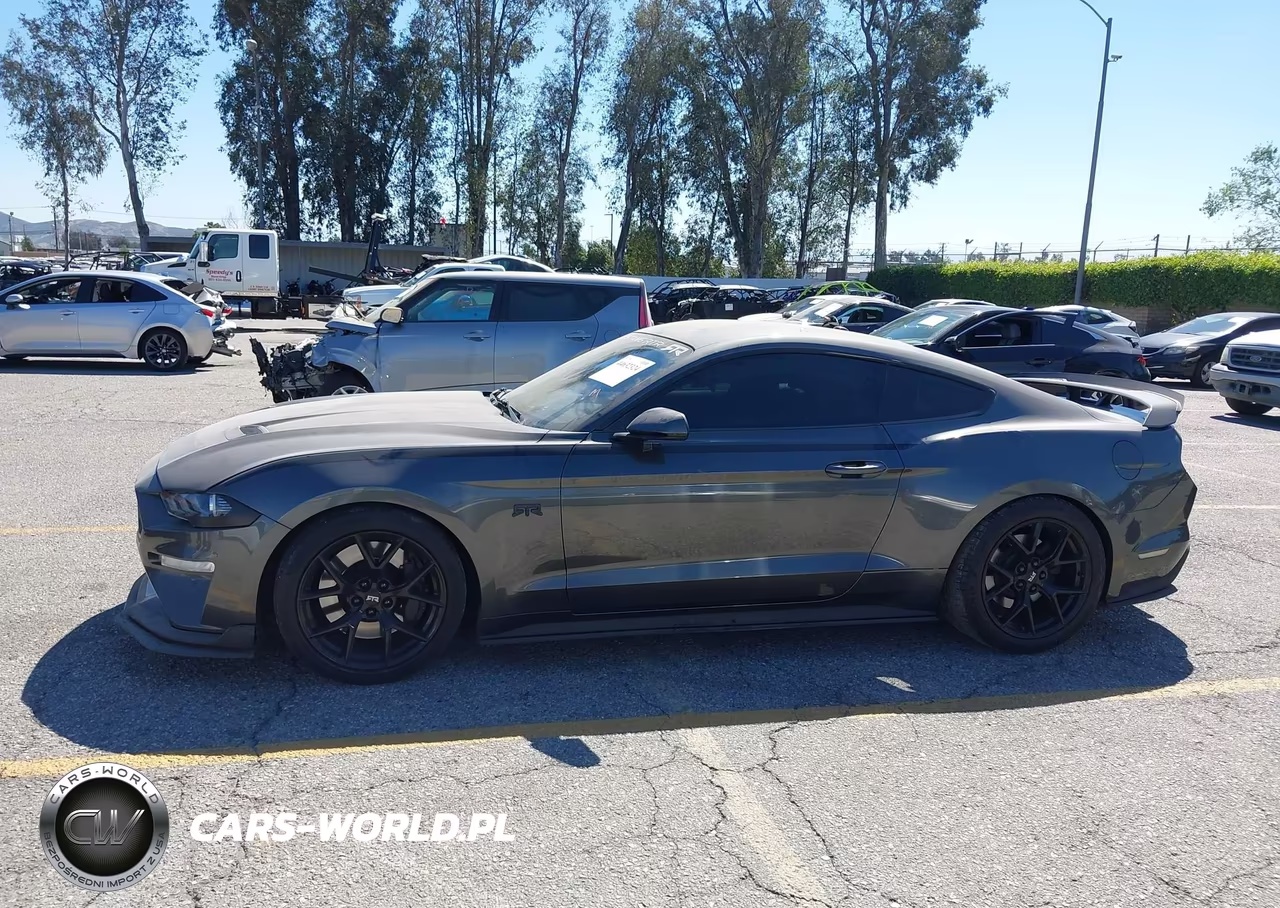 2019 Ford Mustang Gt Premium VIN:1FA6P8CF7K5134939 - 14
