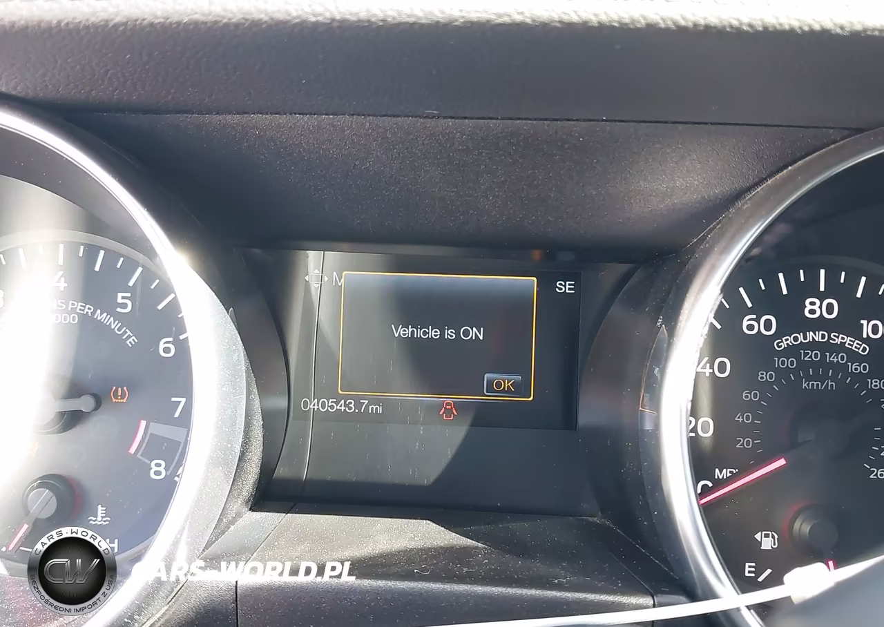 2019 Ford Mustang Gt Premium VIN:1FA6P8CF7K5134939 - 15
