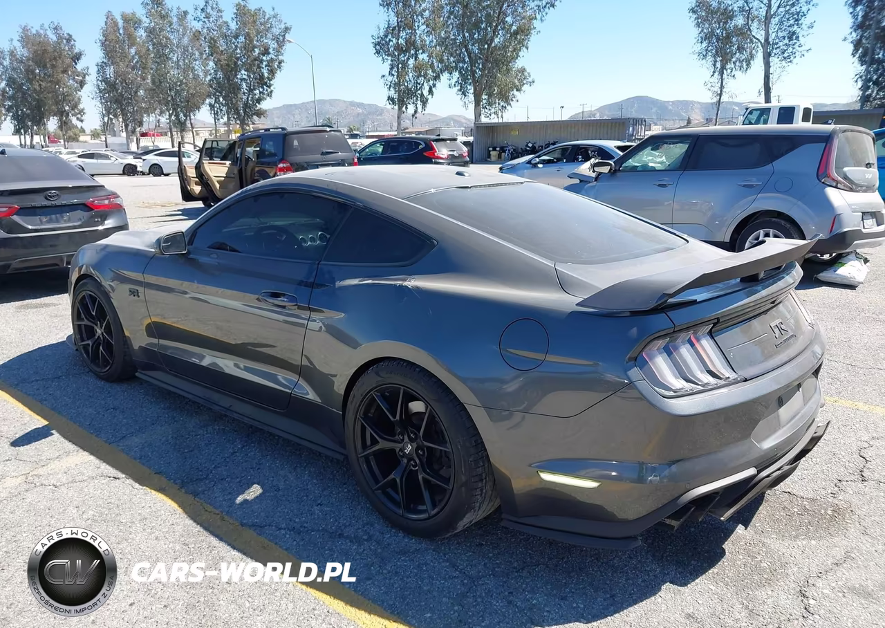 2019 Ford Mustang Gt Premium VIN:1FA6P8CF7K5134939 - 3