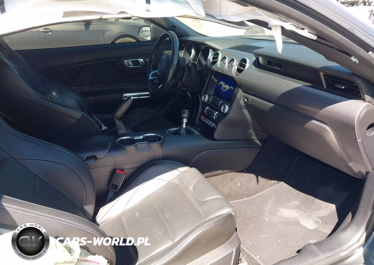 2019 Ford Mustang Gt Premium VIN:1FA6P8CF7K5134939 - 5