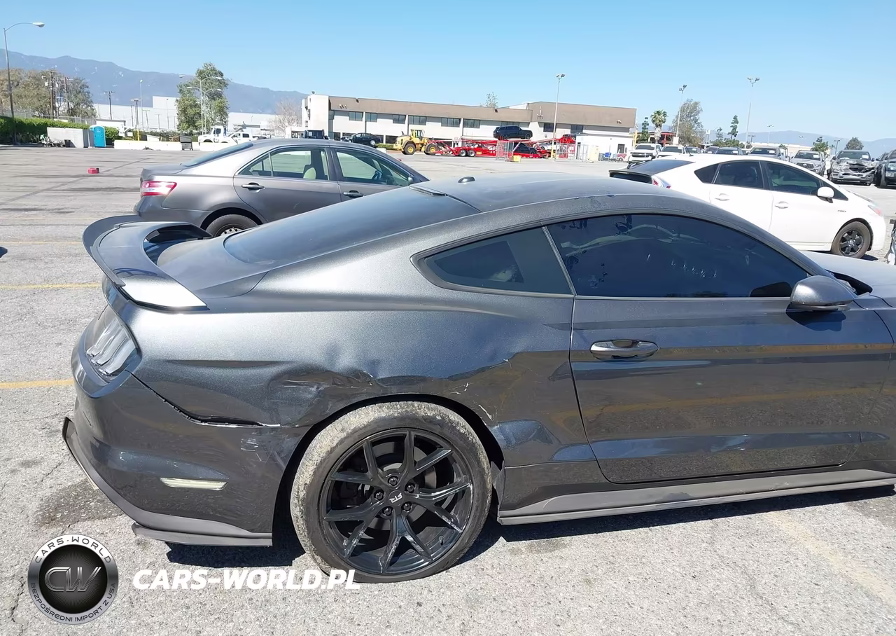 2019 Ford Mustang Gt Premium VIN:1FA6P8CF7K5134939 - 6