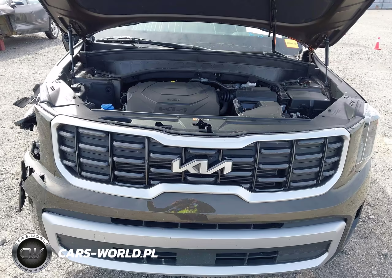 2025 Kia Telluride S VIN:5XYP6DGC2SG710678 - 10