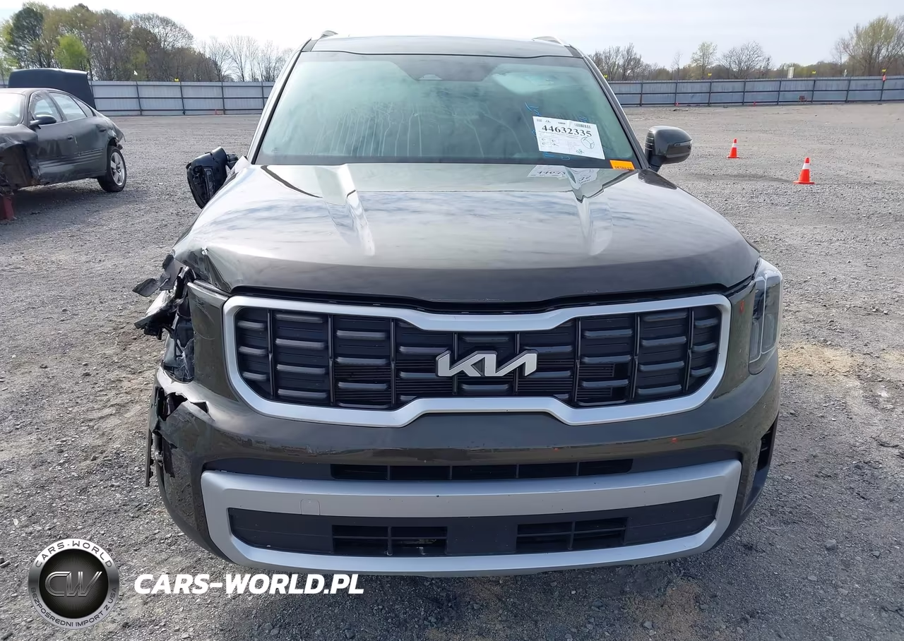 2025 Kia Telluride S VIN:5XYP6DGC2SG710678 - 12