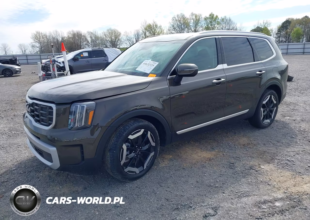 2025 Kia Telluride S VIN:5XYP6DGC2SG710678 - 2