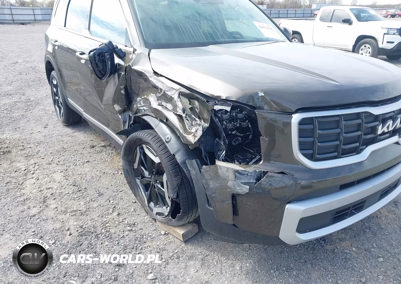 2025 Kia Telluride S VIN:5XYP6DGC2SG710678 - 6
