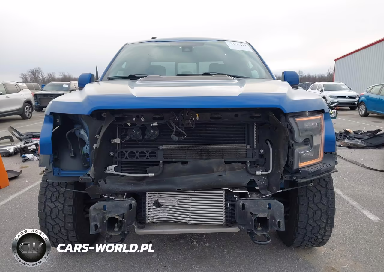 2018 Ford F-150 Raptor VIN:1FTFW1RGXJFB98468 - 13