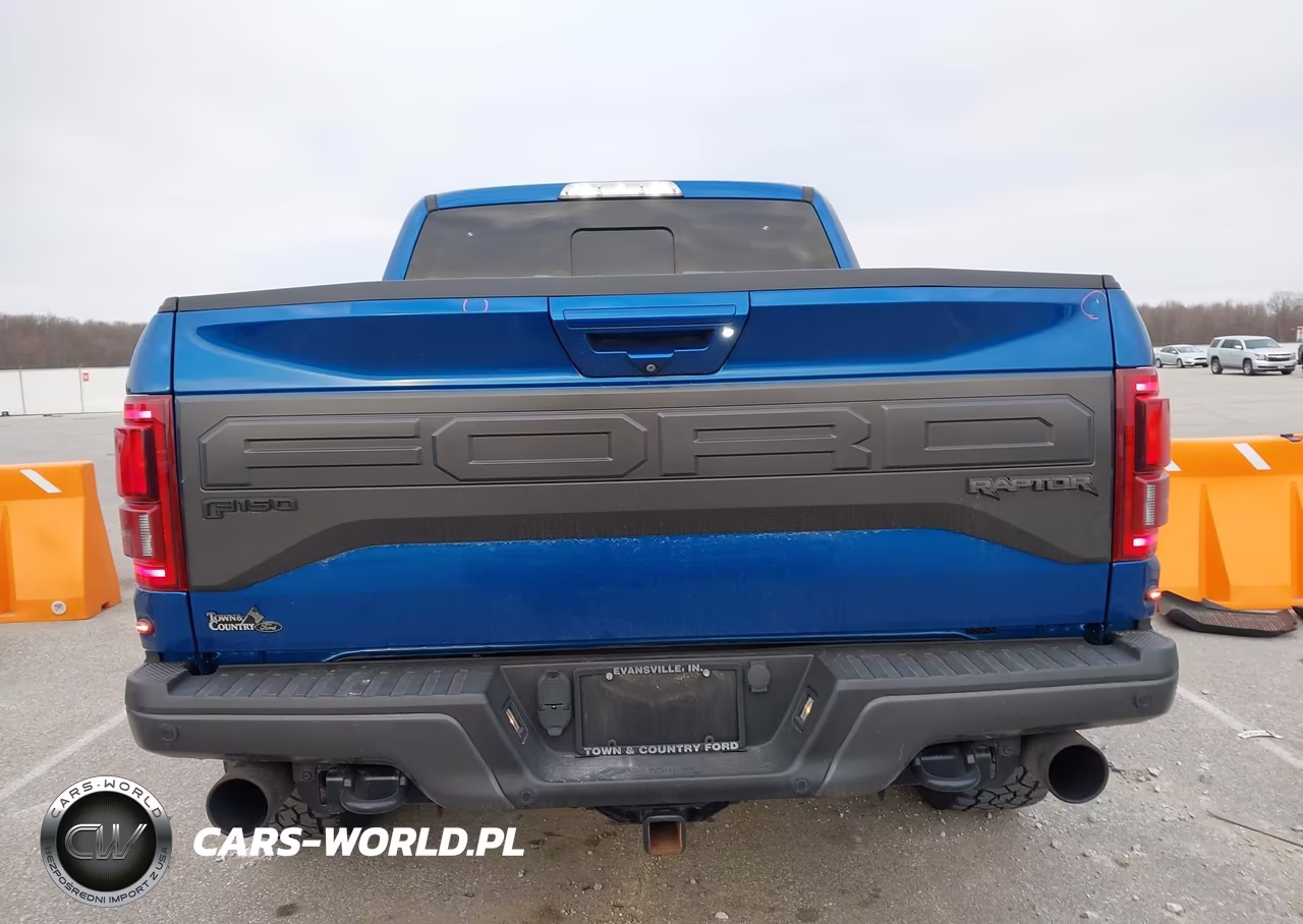 2018 Ford F-150 Raptor VIN:1FTFW1RGXJFB98468 - 17