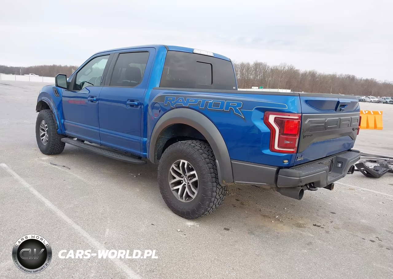 2018 Ford F-150 Raptor VIN:1FTFW1RGXJFB98468 - 3