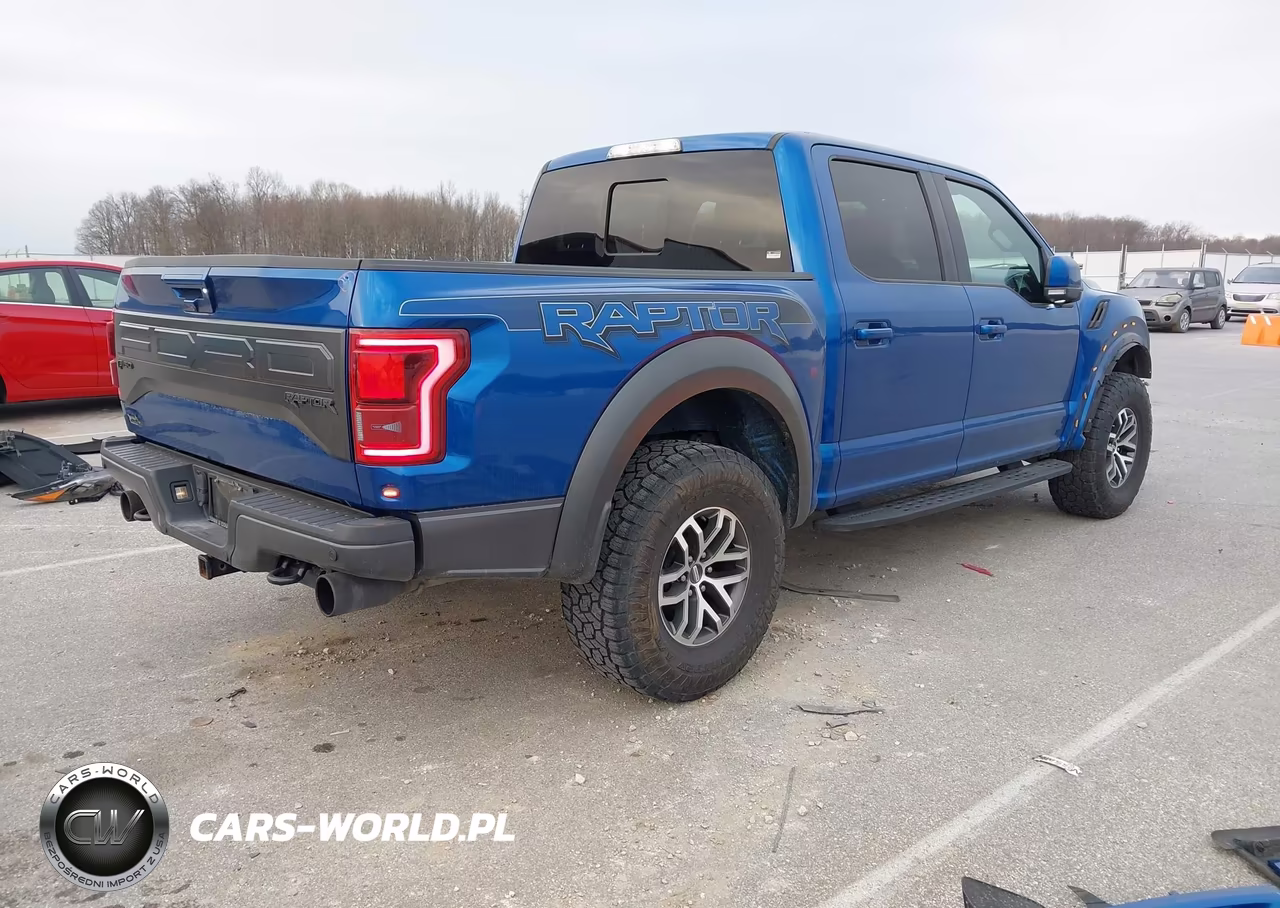 2018 Ford F-150 Raptor VIN:1FTFW1RGXJFB98468 - 4