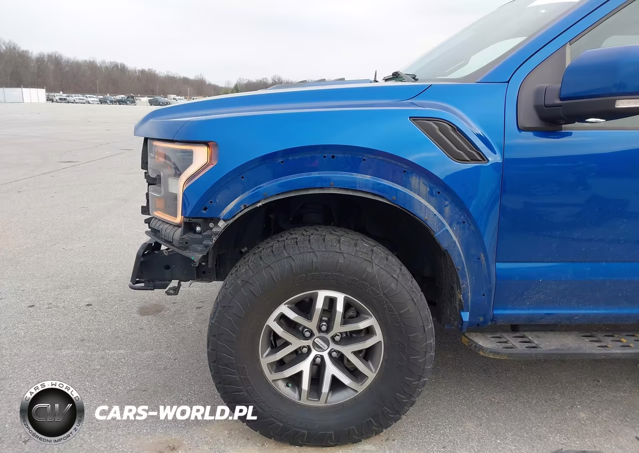 2018 Ford F-150 Raptor VIN:1FTFW1RGXJFB98468 - 6