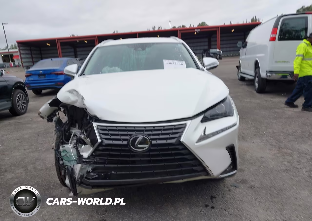 2020 Lexus Nx 300 VIN:JTJAARBZ4L2173236 - 13