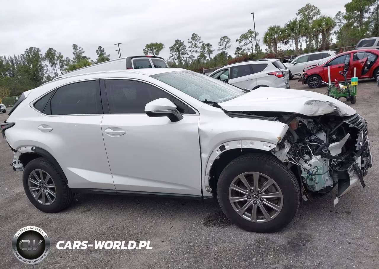 2020 Lexus Nx 300 VIN:JTJAARBZ4L2173236 - 14
