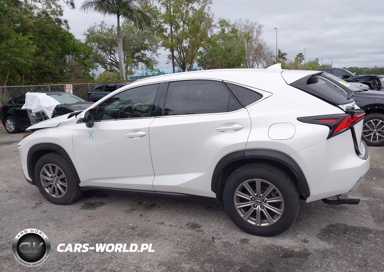 2020 Lexus Nx 300 VIN:JTJAARBZ4L2173236 - 15