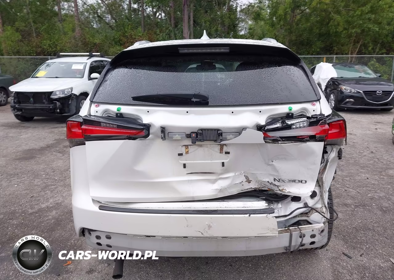 2020 Lexus Nx 300 VIN:JTJAARBZ4L2173236 - 17