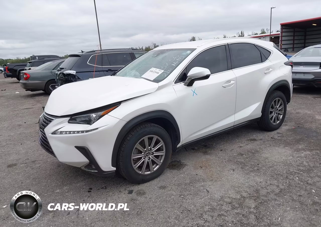 2020 Lexus Nx 300 VIN:JTJAARBZ4L2173236 - 2