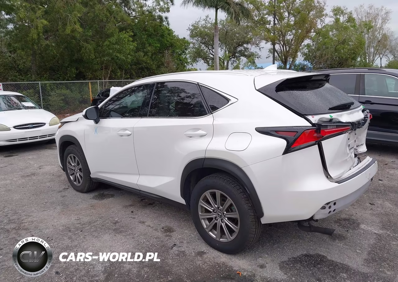 2020 Lexus Nx 300 VIN:JTJAARBZ4L2173236 - 3