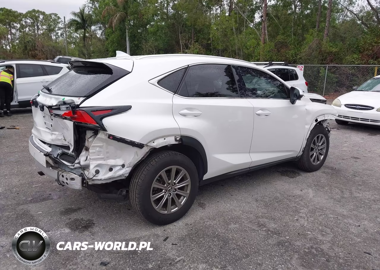 2020 Lexus Nx 300 VIN:JTJAARBZ4L2173236 - 4